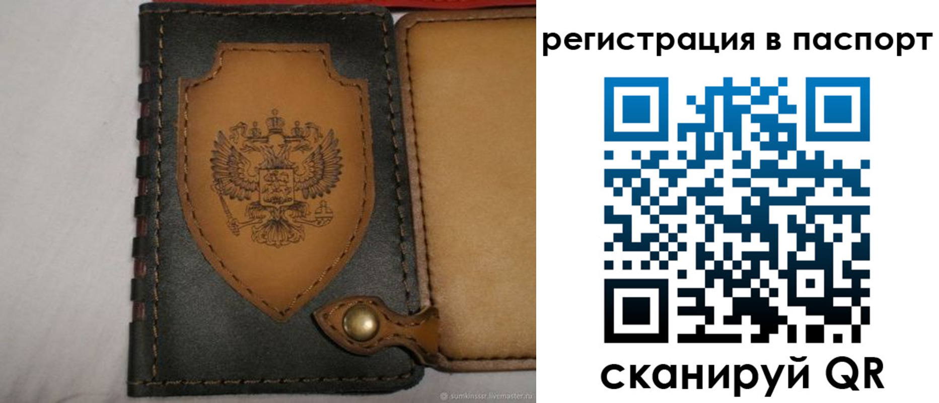 прописка поиск в Сосновом Бору